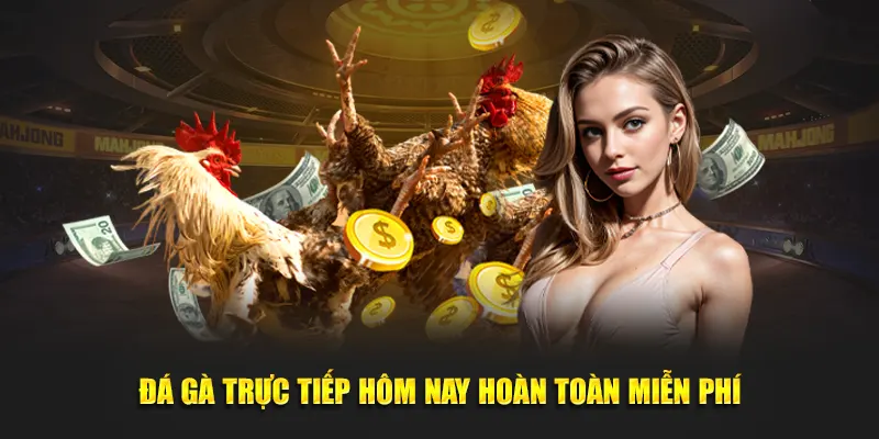 Đá gà trực tiếp hôm nay hoàn toàn miễn phí