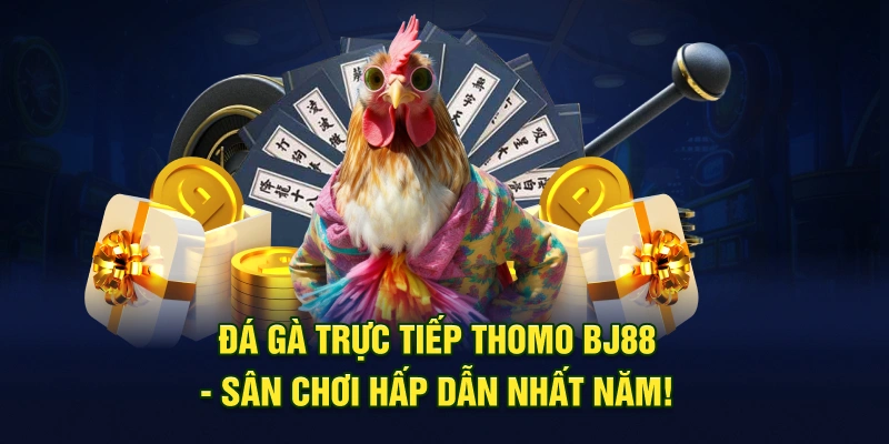 Đá Gà Trực Tiếp Thomo