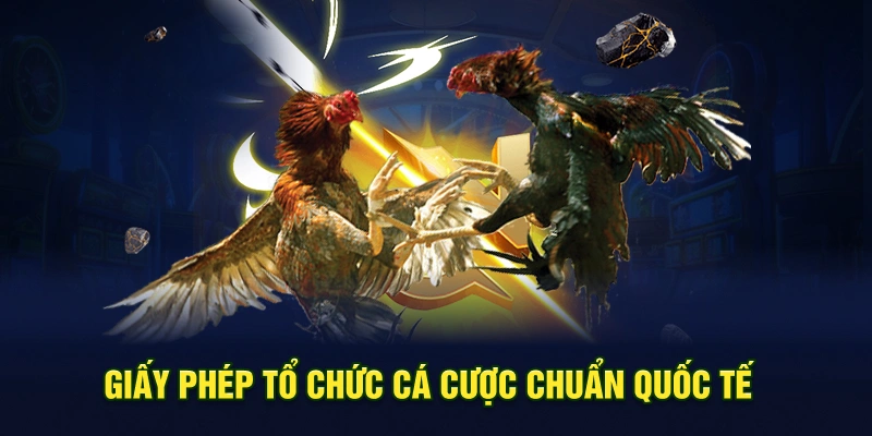 Giấy phép tổ chức cá cược chuẩn quốc tế