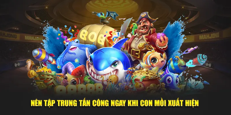 Nên tập trung tấn công ngay khi con mồi xuất hiện