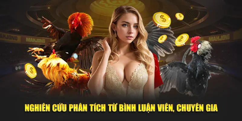 Nghiên cứu phân tích từ bình luận viên, chuyên gia