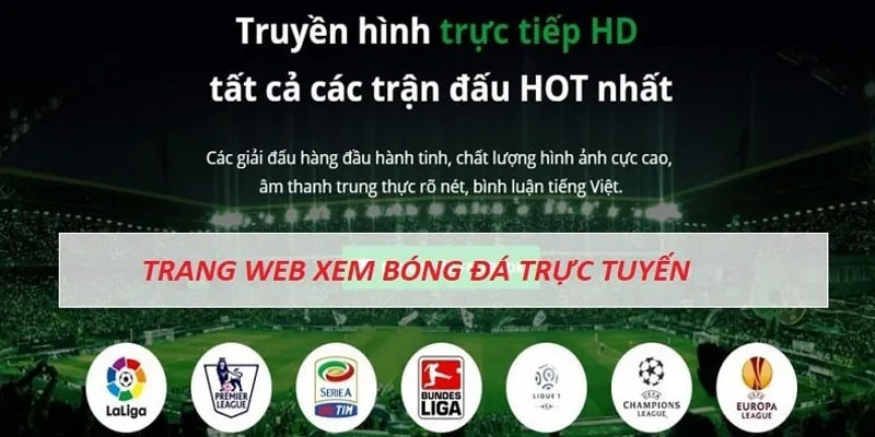 Hấp dẫn với hàng trăm giải thi đấu chất lượng